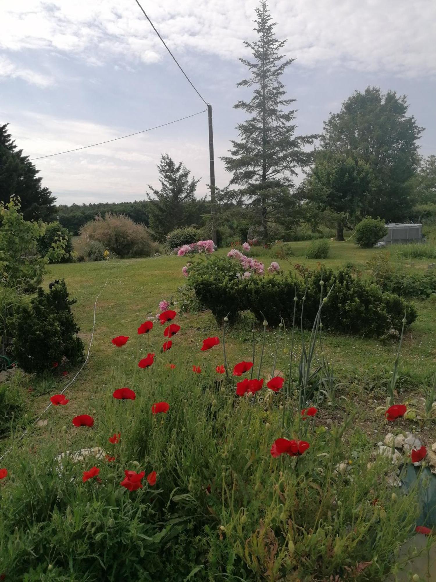 Charmante Maison, Calme Et Nature A La Roche Posay Villa Bagian luar foto