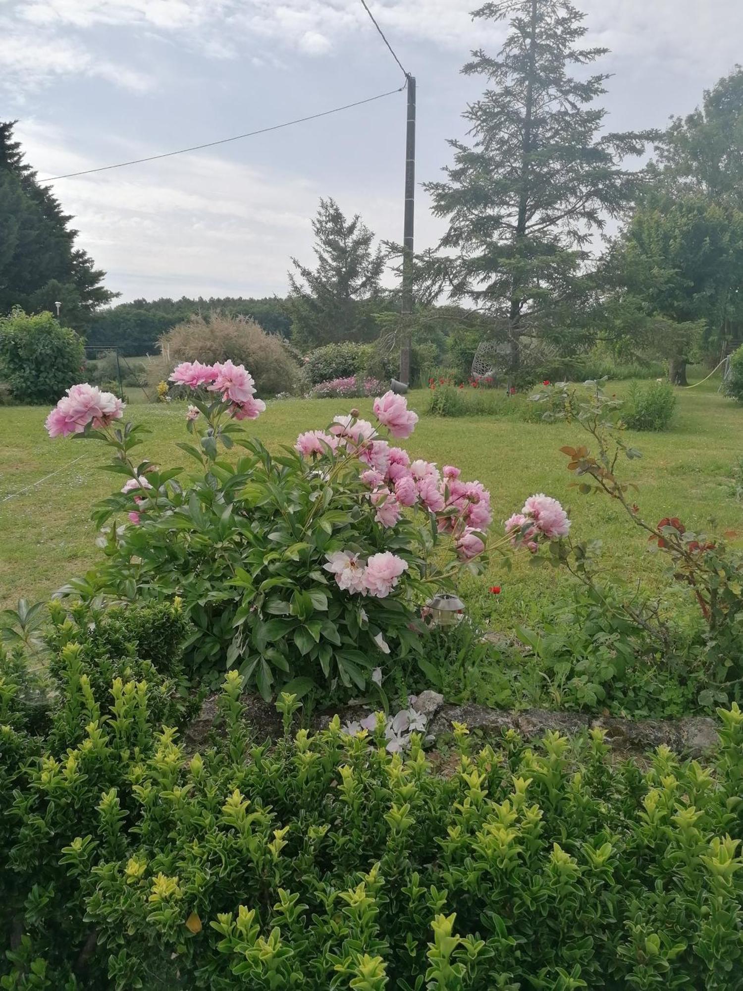 Charmante Maison, Calme Et Nature A La Roche Posay Villa Bagian luar foto